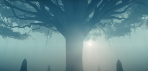 Blue-tinted wide shot of a tree with a thick trunk and sweeping boughs with moss hanging from them. A bright light shines behind it.